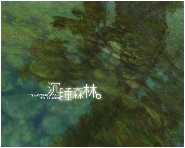 小野美图秀:荆棘营地,孤寂的沉睡森林