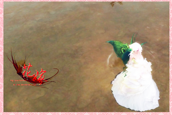 纪念即将过期的婚纱,也许再也不会穿上