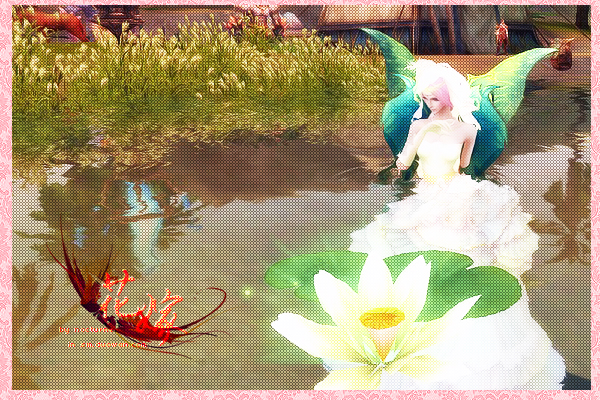 纪念即将过期的婚纱,也许再也不会穿上