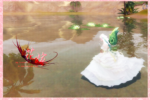 纪念即将过期的婚纱,也许再也不会穿上