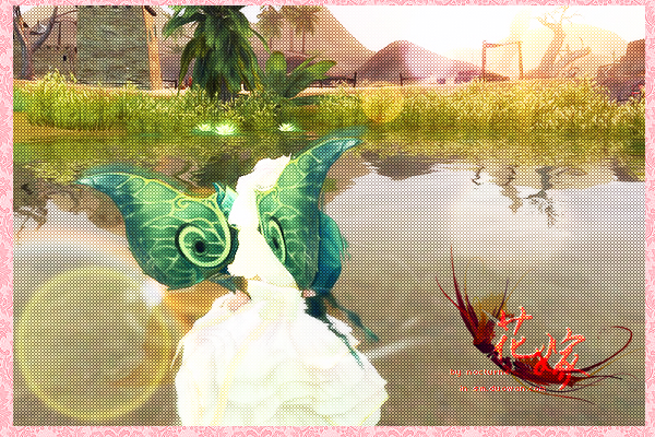 纪念即将过期的婚纱,也许再也不会穿上