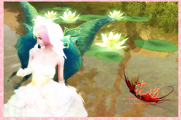 纪念即将过期的婚纱,也许再也不会穿上