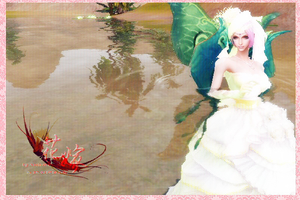 纪念即将过期的婚纱,也许再也不会穿上