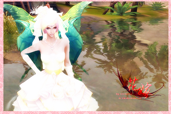 纪念即将过期的婚纱,也许再也不会穿上